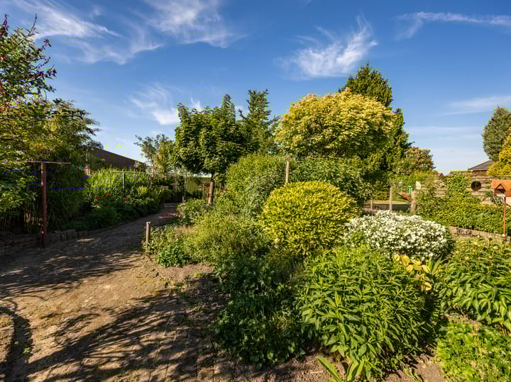 Foto 42 van Weg naar Voorst 78