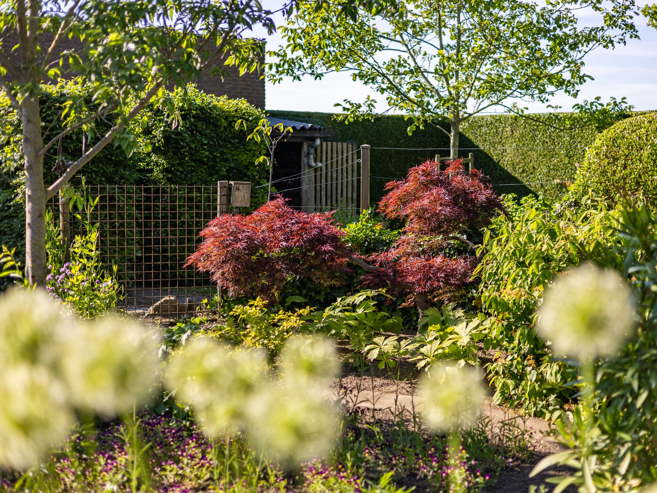 Foto 48 van Weg naar Voorst 78