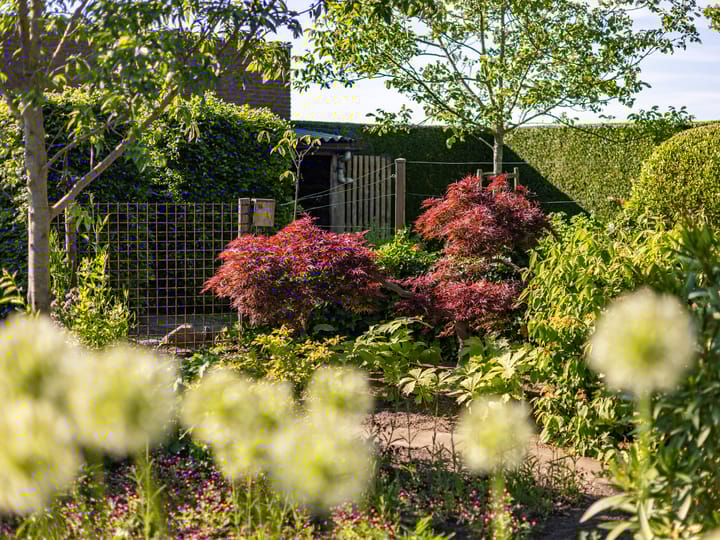 Foto 48 van Weg naar Voorst 78