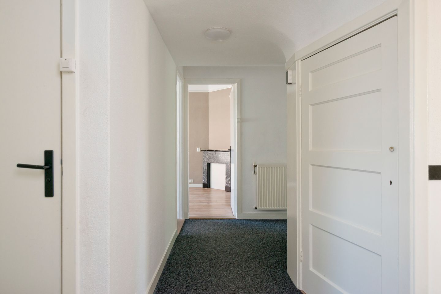 Foto 49 van Johan de Wittlaan 205