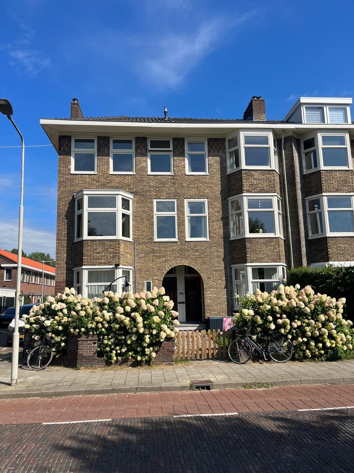 Foto 57 van Johan de Wittlaan 205