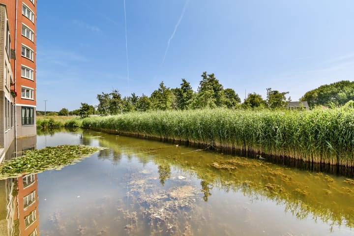 Foto 16 van Ringvaart 16