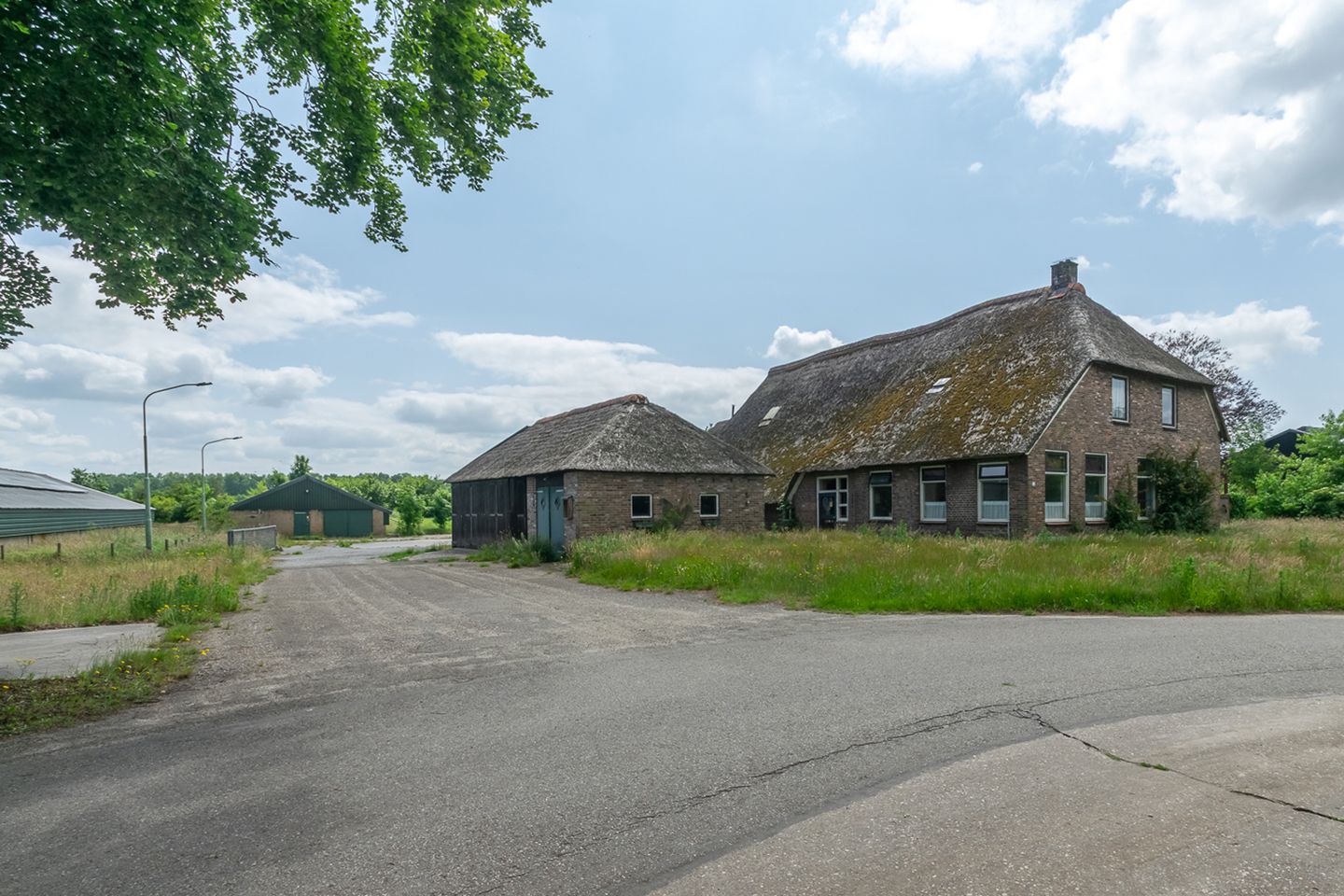 Bekijk foto 1 van Kraloo 1