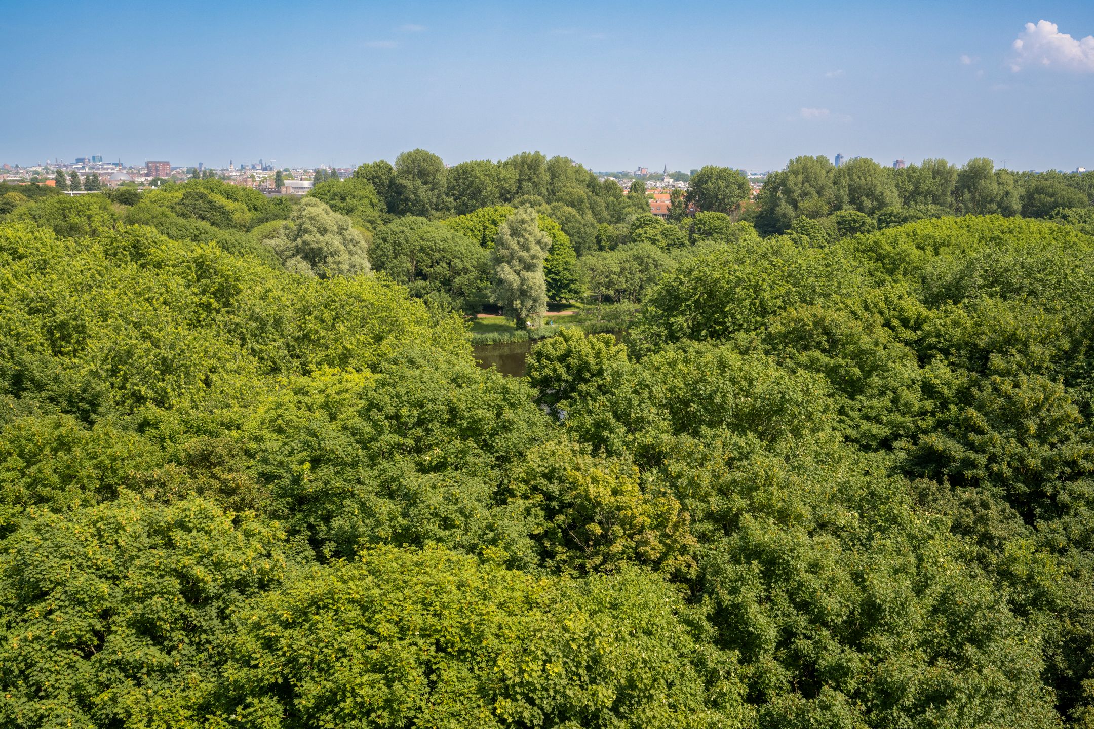 Photo 6 of Nachtwachtlaan 387