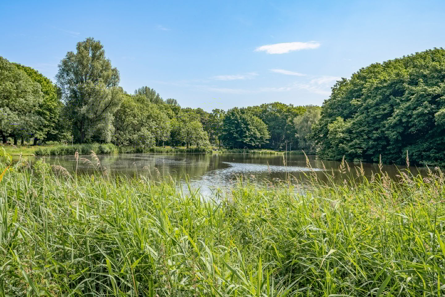 Photo 25 of Nachtwachtlaan 387