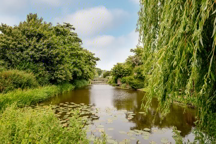 Foto 49 van Ammerdorfferstraat 29