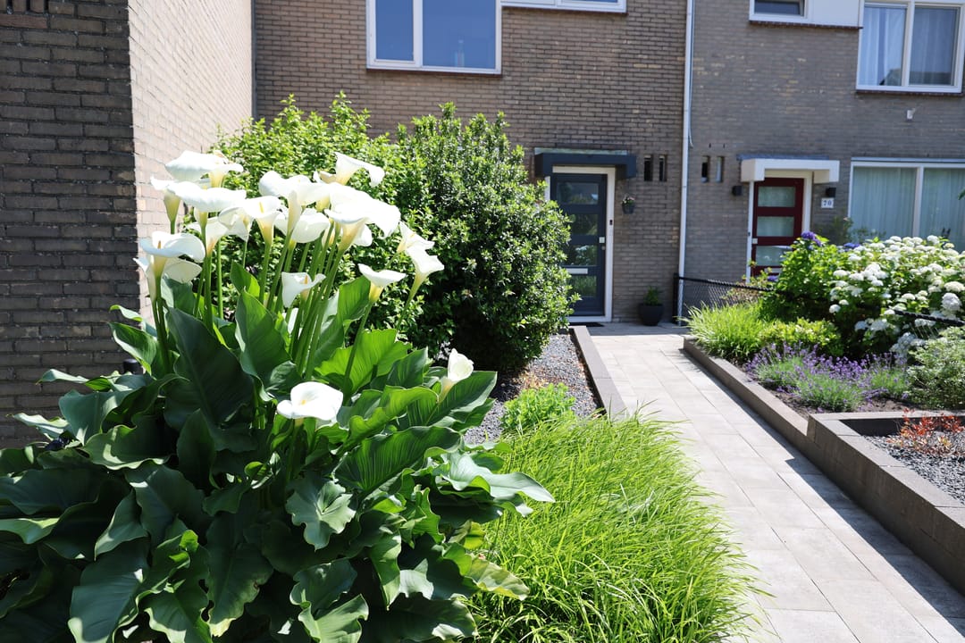 Foto 2 van Gierelaar 72