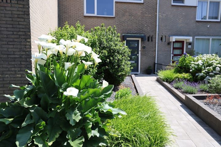 Foto 2 van Gierelaar 72