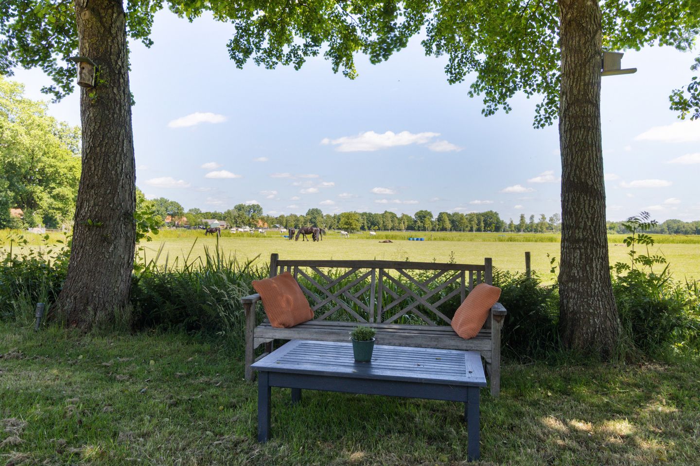 Foto 35 van Hamersweg 20-B