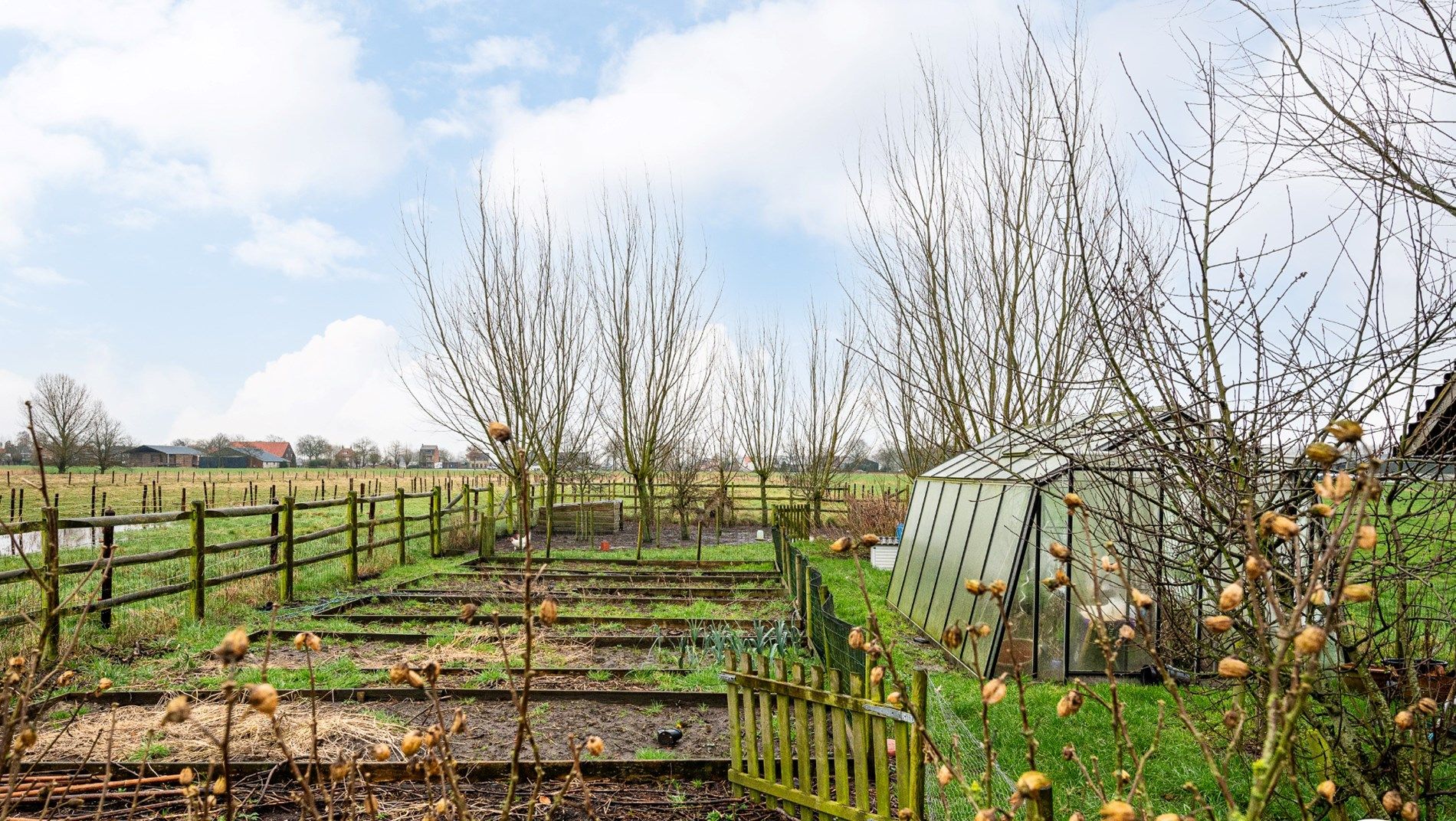 Foto 24 van Scheidingstraat 15