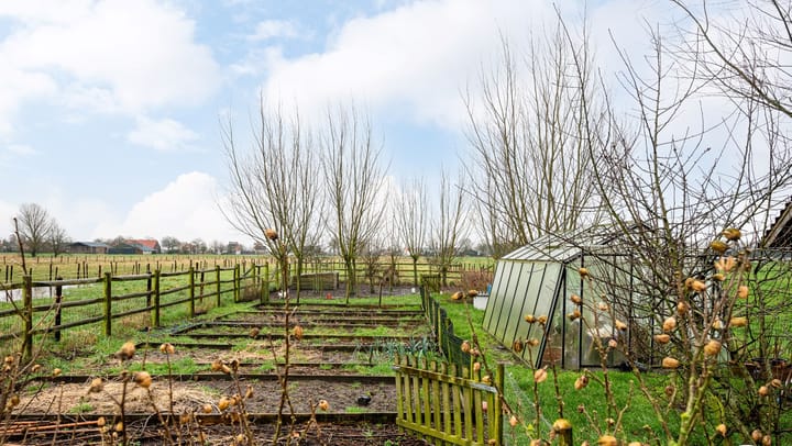 Foto 24 van Scheidingstraat 15