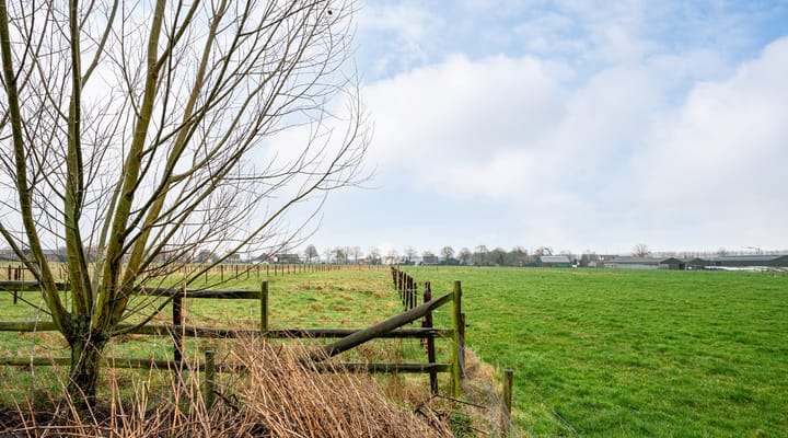 Foto 26 van Scheidingstraat 15