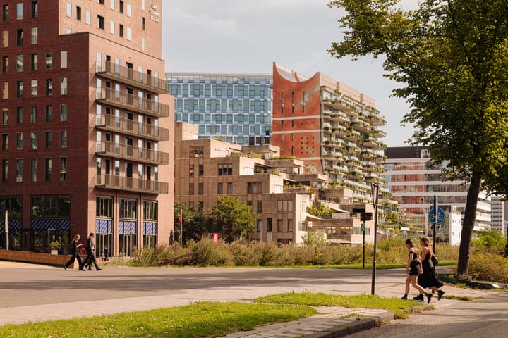 Foto 33 van Rosy Wertheimstraat 79