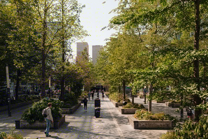 Foto 34 van Rosy Wertheimstraat 79