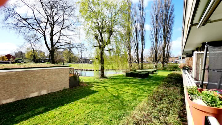 Foto 9 van Van Borselenstraat 172