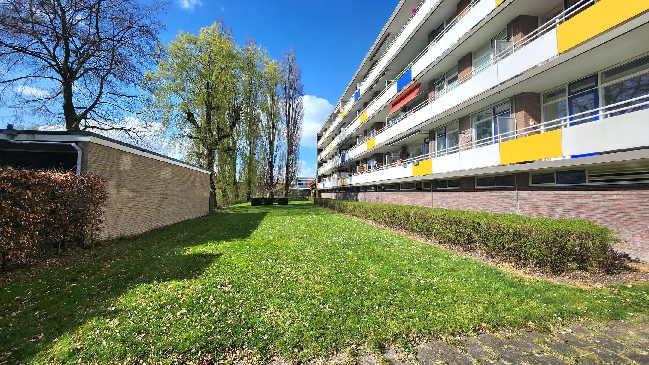 Foto 15 van Van Borselenstraat 172