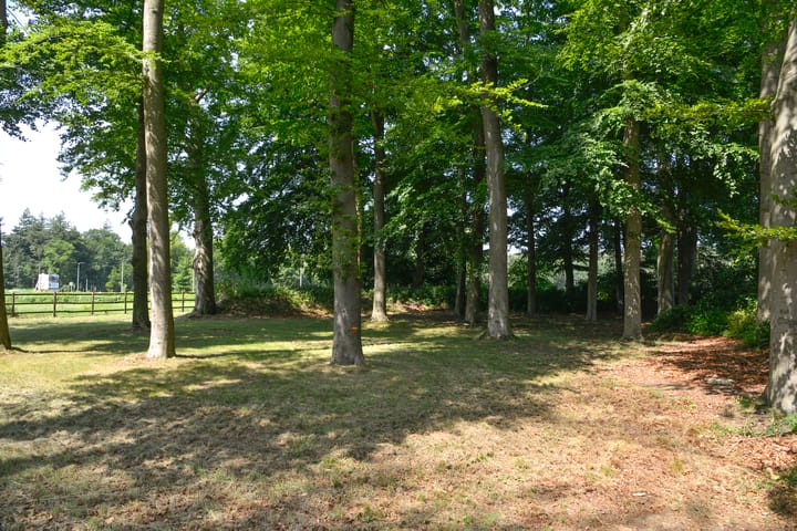 Foto 22 van Jachthuislaan 70