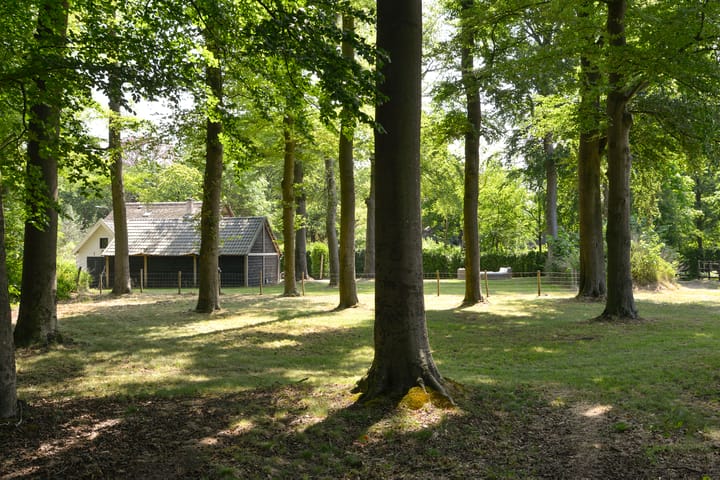 Foto 24 van Jachthuislaan 70