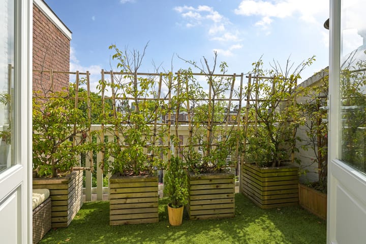 Foto 41 van Paulus Buijsstraat 48