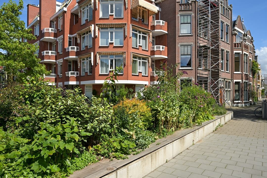 Foto 43 van Paulus Buijsstraat 48