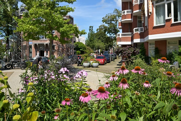 Foto 44 van Paulus Buijsstraat 48