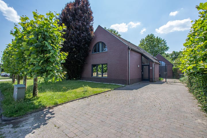 undefined main image