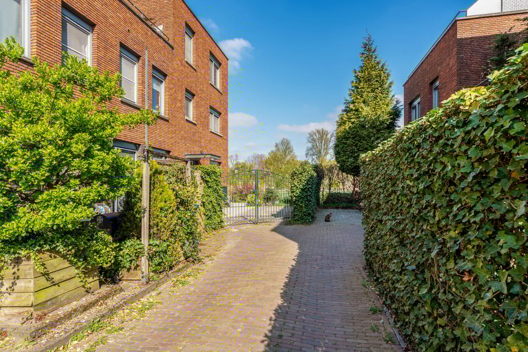 Photo 37 of Folkert Elsingastraat 37