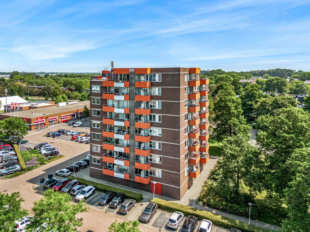 Foto 1 van Zevenblad 25