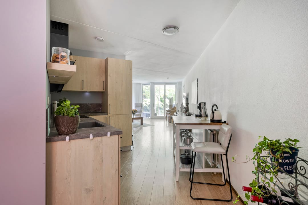 Photo 11 of Plantage 4