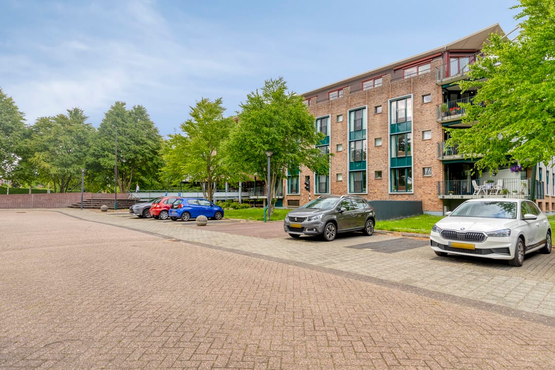 Photo 31 of Plantage 4