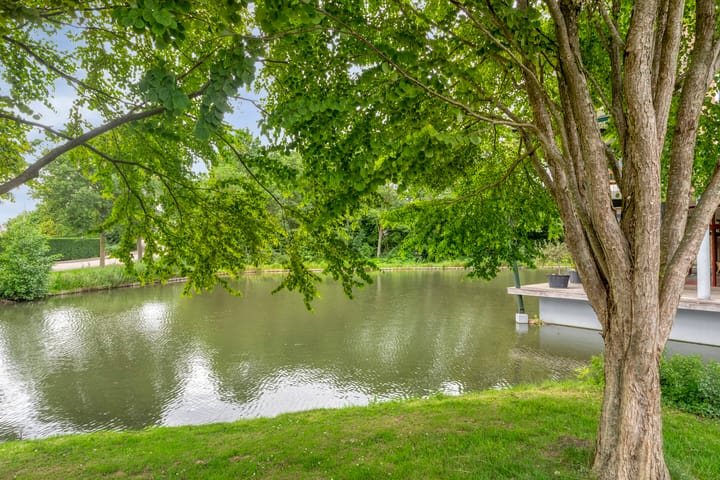 Foto 33 van Plantage 4