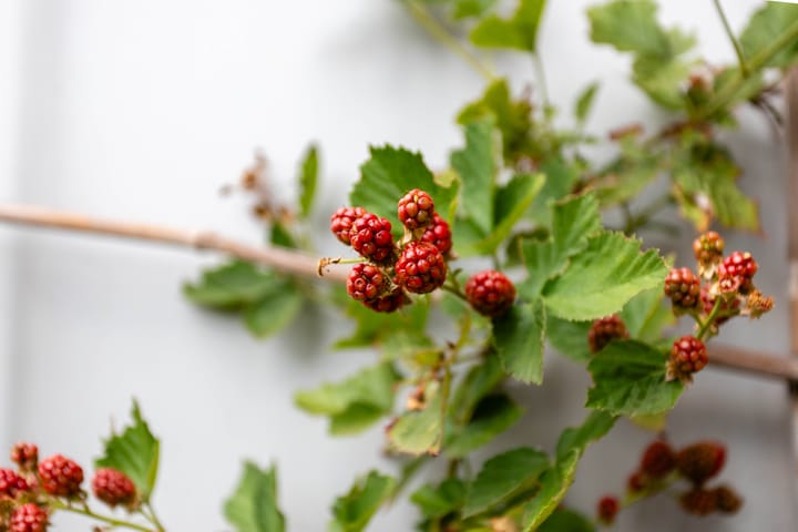 Foto 17 van Merwedestraat 3-BSA