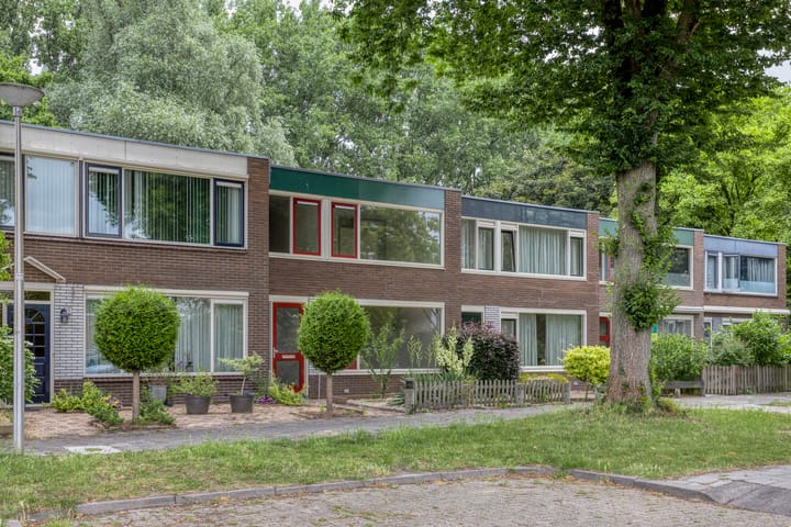 undefined main image