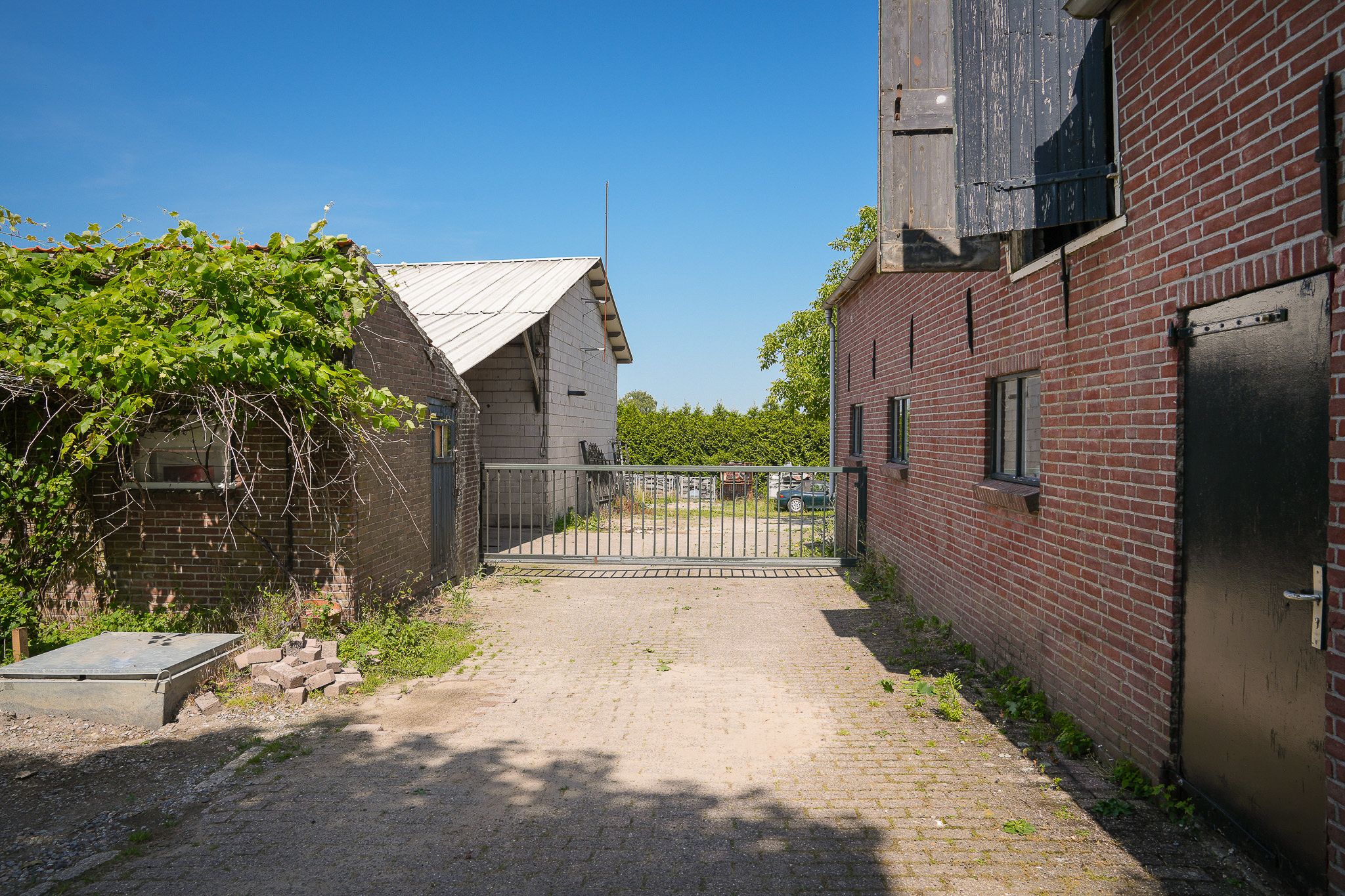 Photo 6 of Maasdijk 54