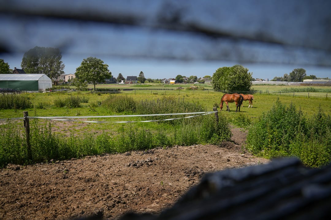 Photo 7 of Maasdijk 54