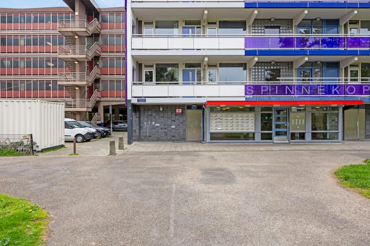 Foto 4 van Spinnekop 1