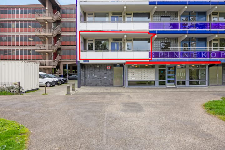 Foto 28 van Spinnekop 1