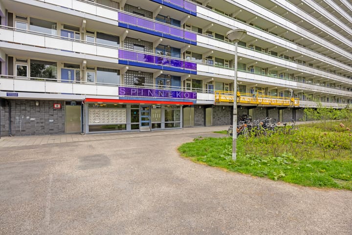 Foto 27 van Spinnekop 1