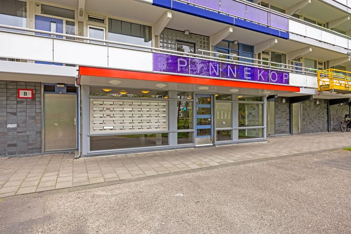 Foto 5 van Spinnekop 1