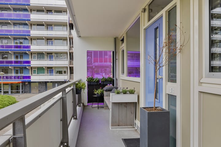 Foto 7 van Spinnekop 1