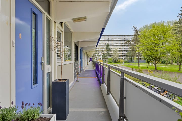 Foto 8 van Spinnekop 1