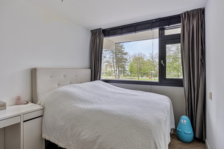 Foto 17 van Spinnekop 1