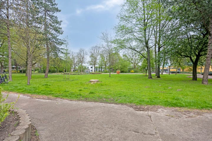 Foto 3 van Spinnekop 1