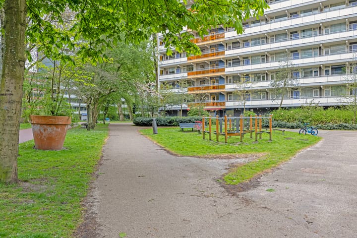 Foto 25 van Spinnekop 1