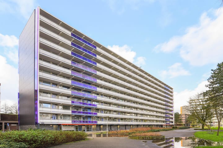 Foto 1 van Spinnekop 1