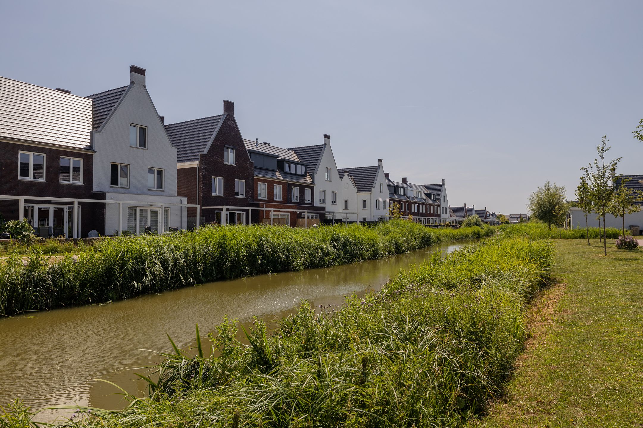 Photo 48 of De Laan van Westlands Roem 35