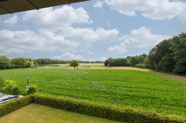 Foto 43 van Hooiberg 26-22