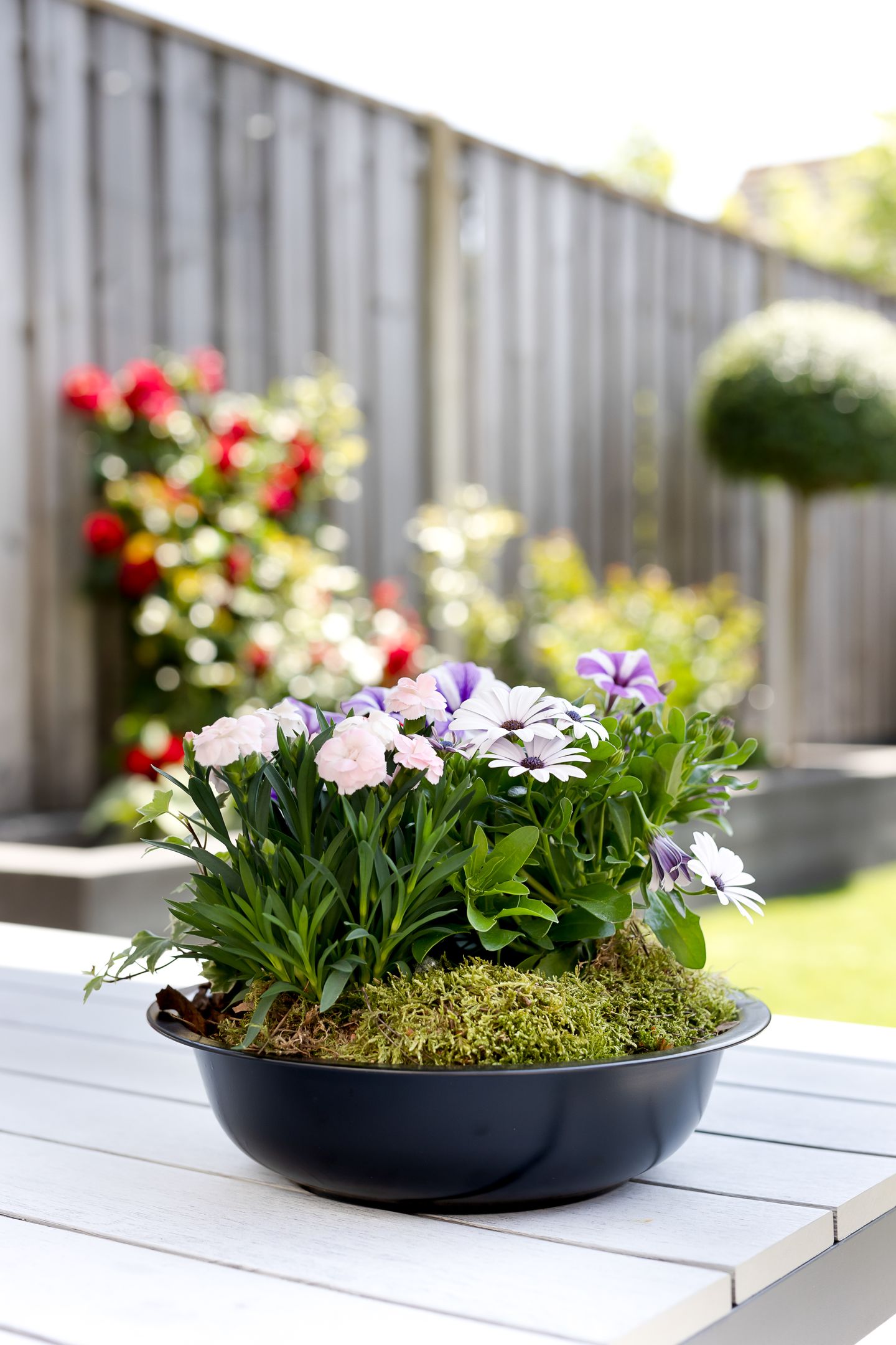 Foto 19 van Suze Groeneweglaan 15