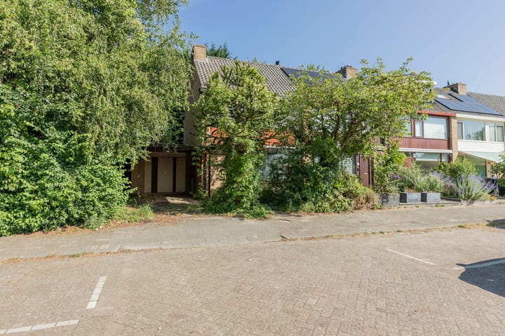 Foto 17 van Keltenoord 50