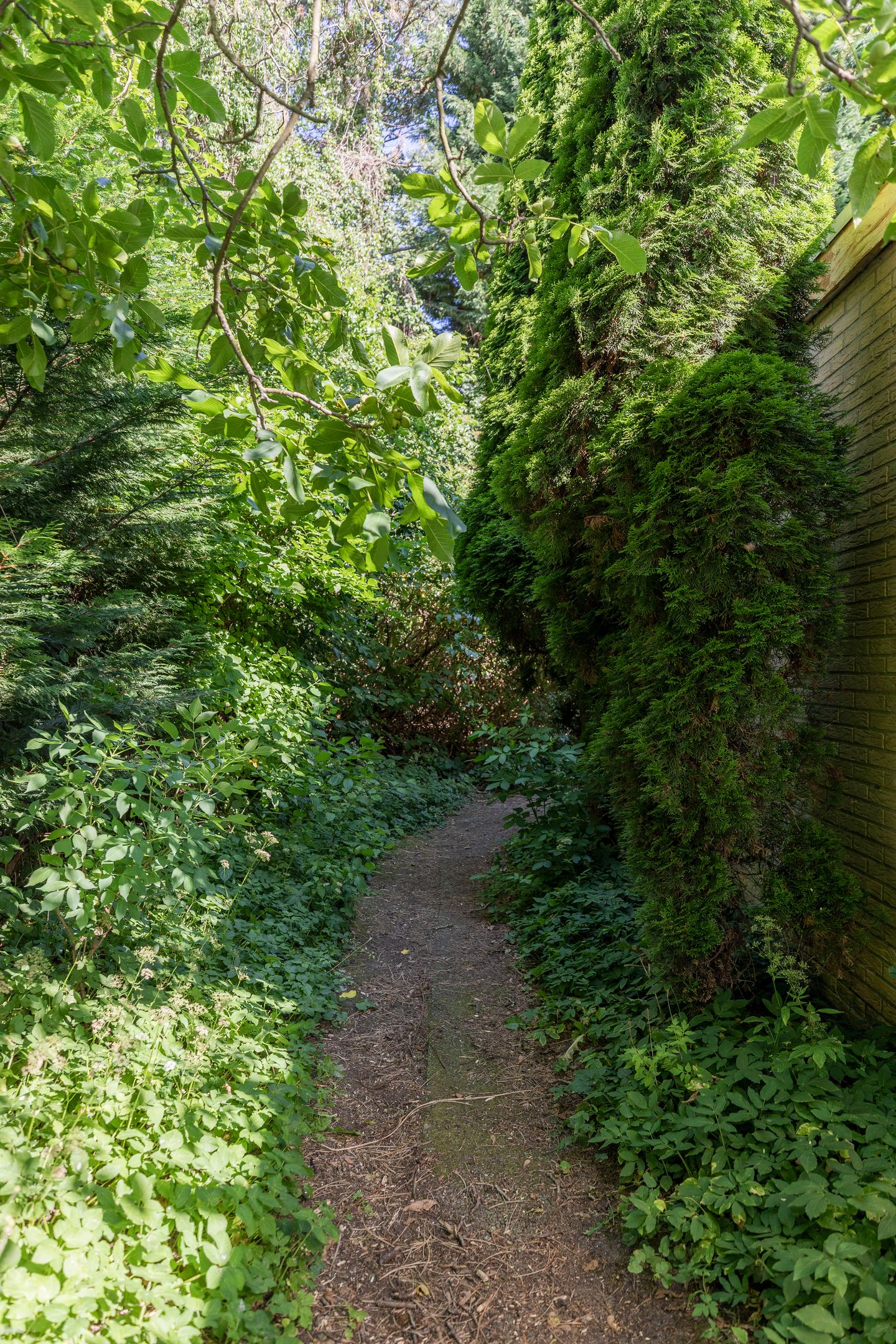 Foto 20 van Keltenoord 50